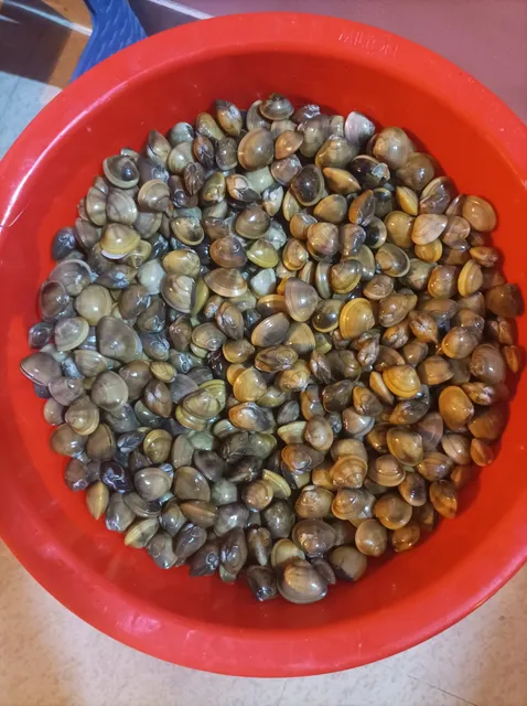 Udupi sea food, fresh fish shop