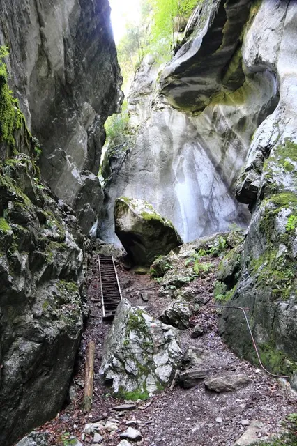 Gorges des Tines