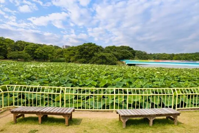 Nagai Botanical Garden