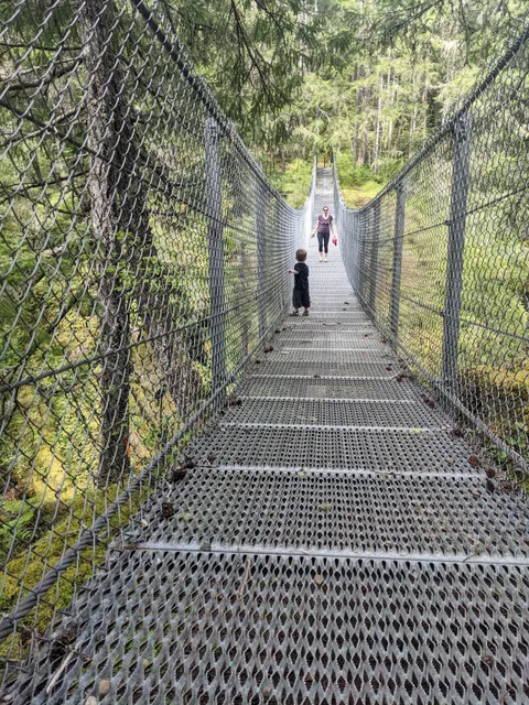Haslam Creek Suspension Bridge