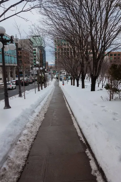 Jean-Paul-L'Allier Garden