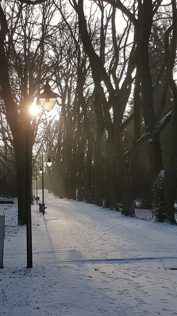 Stefan Kownas Dendrological Garden
