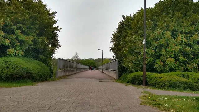 photo-2