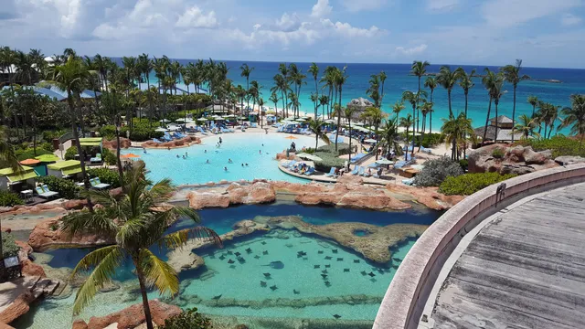 Seagrapes Lagoon Marine Habitat