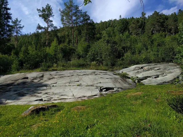 Bardal helleristningsfelt
