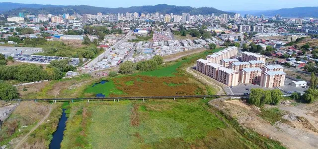 Humedal Urbano Paicaví-Tucapel Bajo