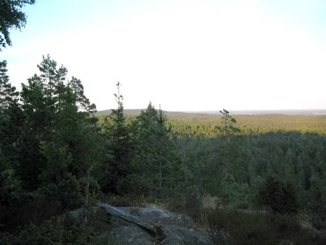 Kroppefjäll