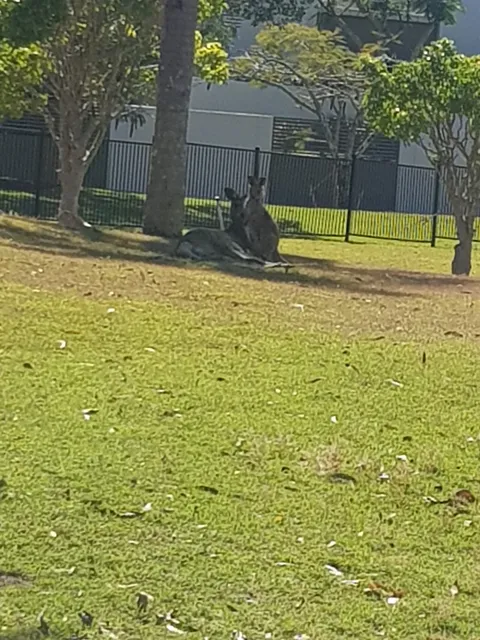 The Address Sanctuary Cove