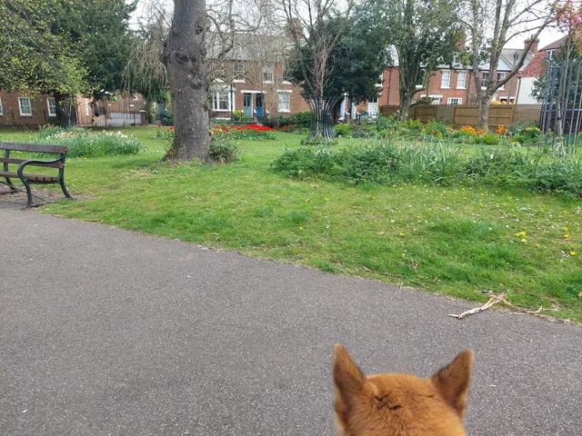 Garden of St Mary de Castro