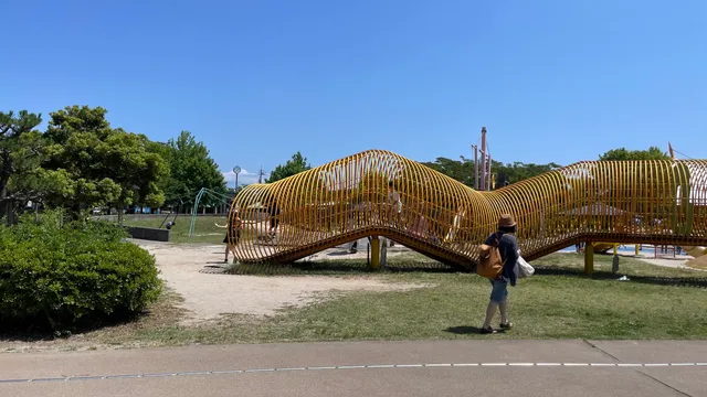 photo-1