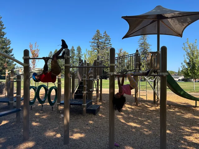 Wilson Park Kids Play Structure