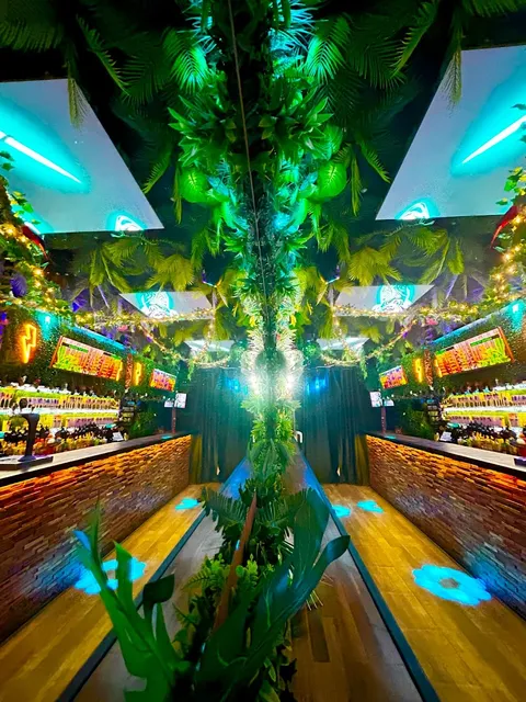 Jungle Dreams Bar