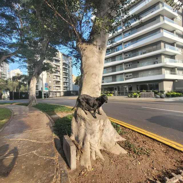 Oval Julio Ramón Riveyro