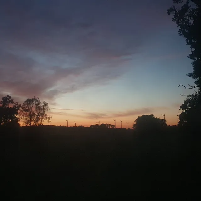 photo-2