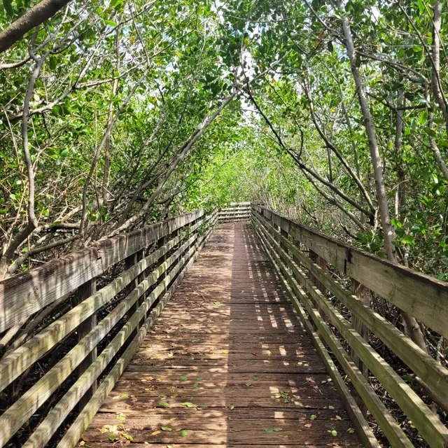 McKay Bay Nature Park