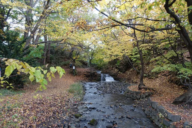 Shojin Riverside Park