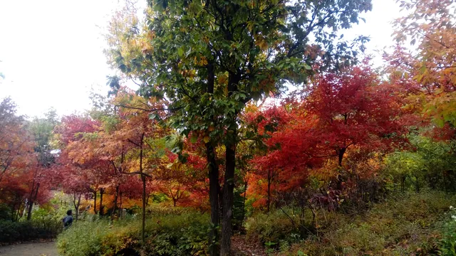 온수도시자연공원