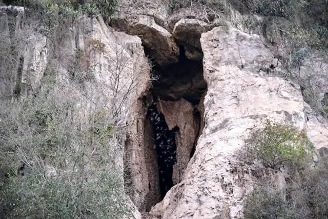 Bracken Cave Preserve (Bat Conservation International Inc)