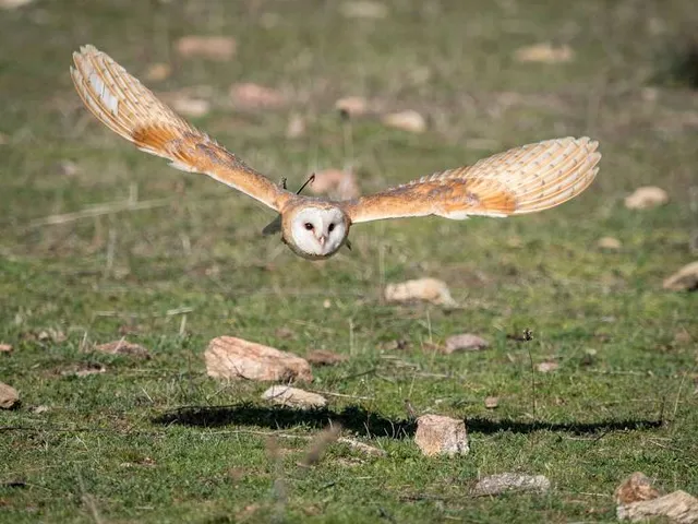 Cottonwood Island Nature Park