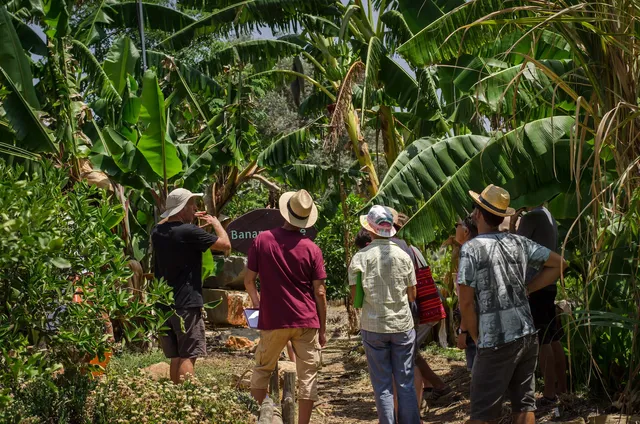 Orchard of Flavours - Pomar dos Sabores