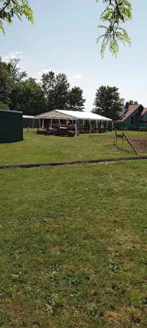 Dampfbahnfreunde Friedrichsruhe Anlage