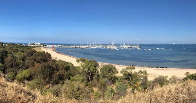 Dog Friendly Beach Sandringham Harbour