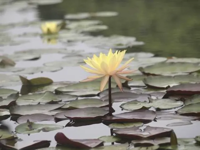 Clayton Lake State Park