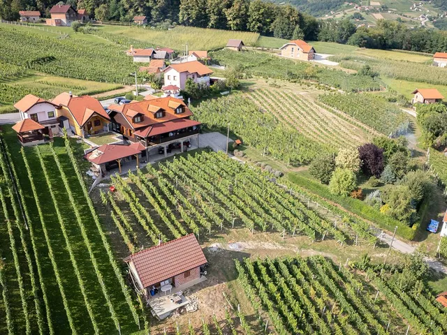 Vinarija Zdolc - ekološka vina