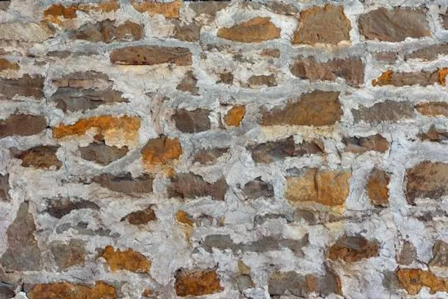 Ruiny zamku w Drzewicy