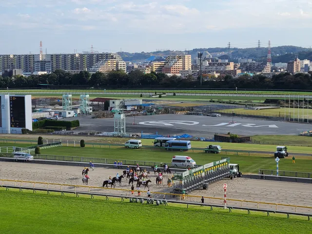 Tokyo Racecourse