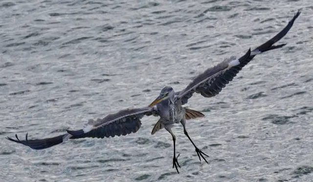 Inage Seaside Park Beach Center, Chiba City