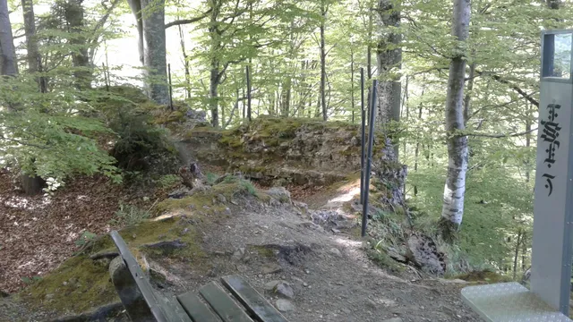 Burgruine Rothenfels