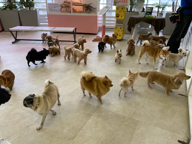 ふれあい どうぶつランド だっこして！ZOO！