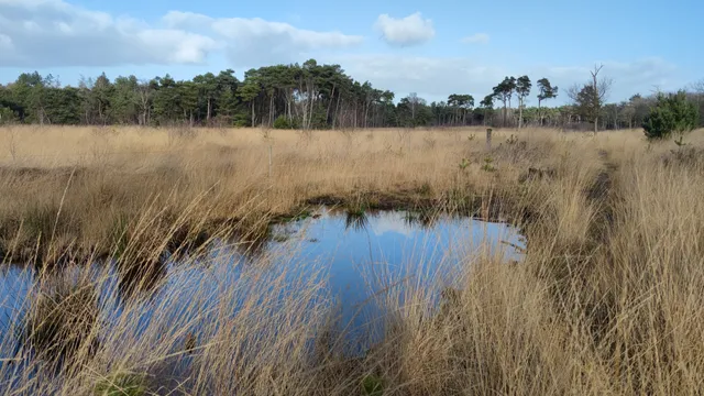 Natuurpoort de Vresselse Hut