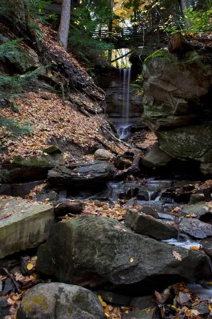 Henry Church Rock Picnic Area