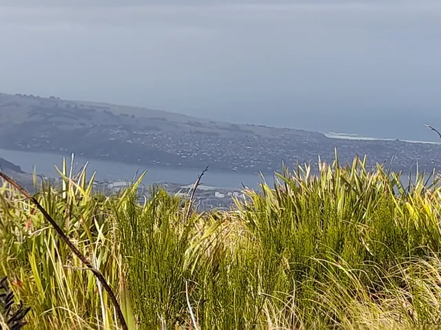 Pineapple Track Walkway