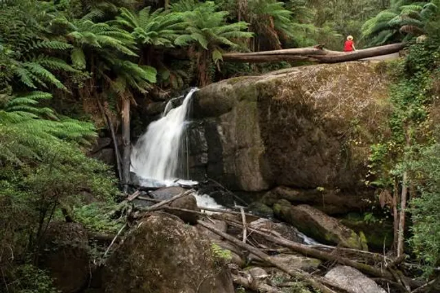 Amphitheatre Falls lookout