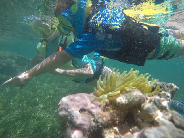 Pirate Snorkeling Shack