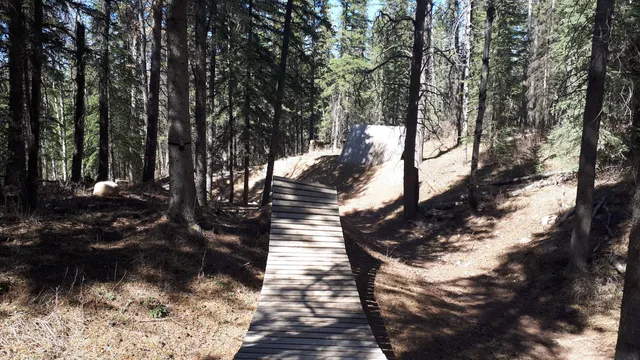 Hinton Bike Park