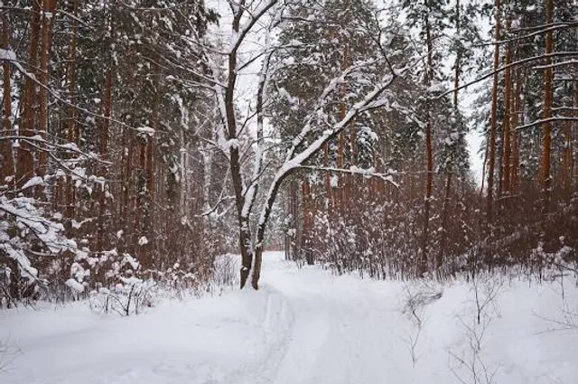 Odintsovskiy Park Kul'tury, Sporta I Otdykha Imeni Geroya Rossii Larisy Lazutinoy