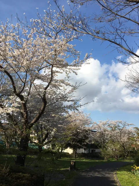 Konandai Ikiiki Play Park