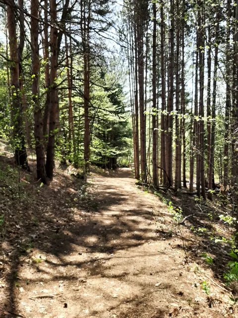 Miller Creek Nature Reserve