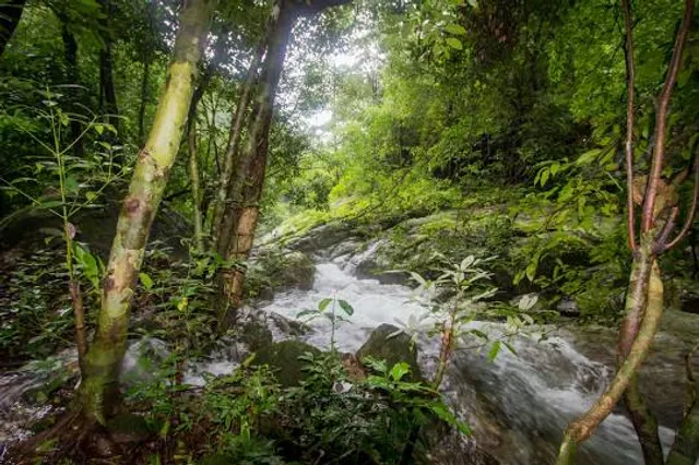 Evergreen Nature Preserve