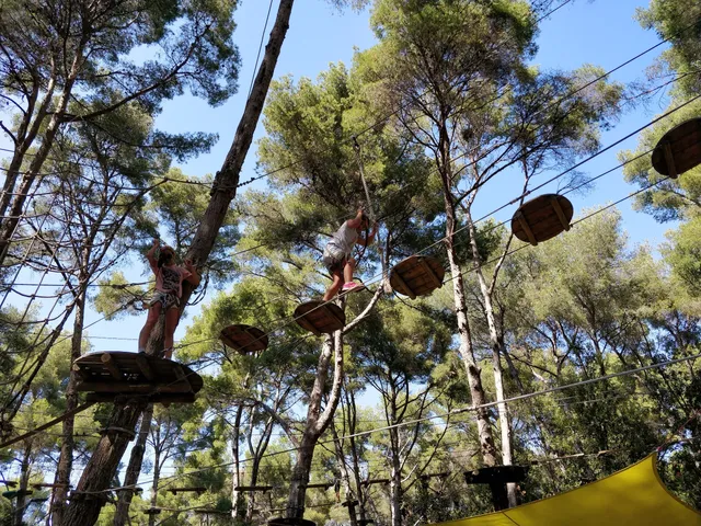 Bois de La Coudoulière