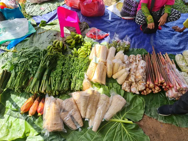 North Borneo Train Tour