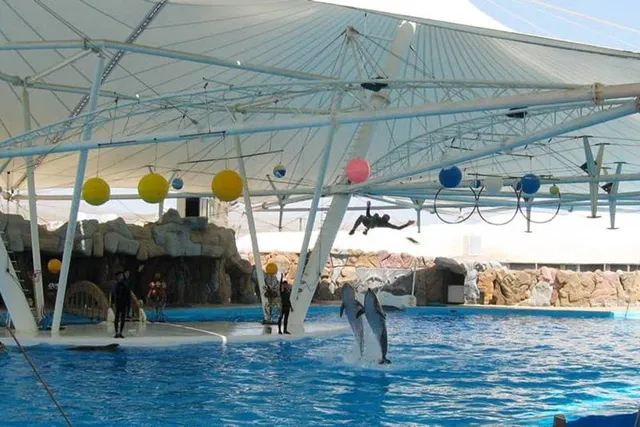 Kish Dolphin Park