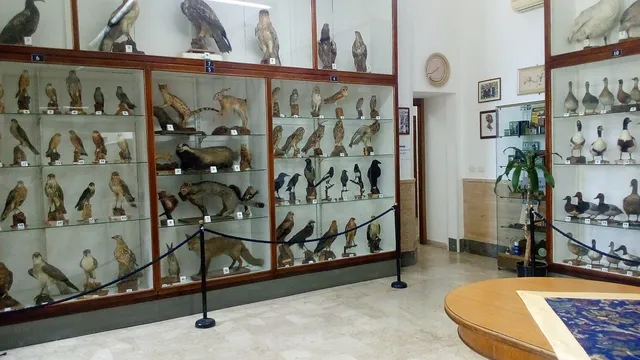 Museo ornitologico
