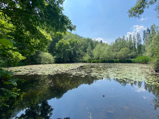 Parco - Bosco Motto Grande