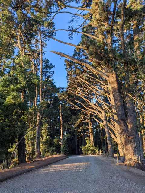 Metropolitano Cerro Caracol Park