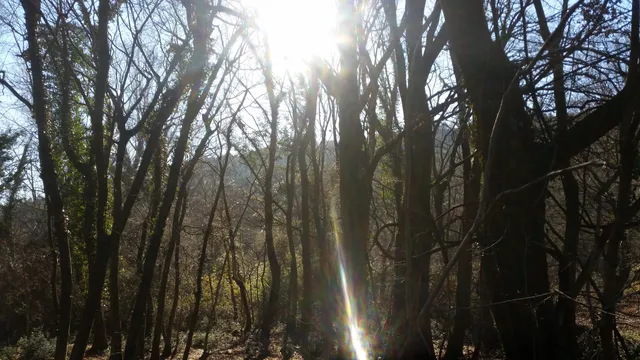 Cento visite Lago Pietrarossa/Center za obiskovalce, Prelosno jezero
